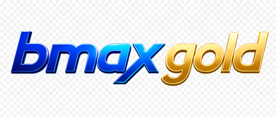 Bmax Gold Logo